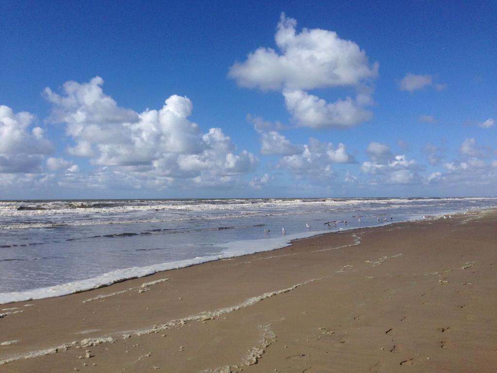 Berrie'S Sea View Lejlighed Zandvoort Eksteriør billede
